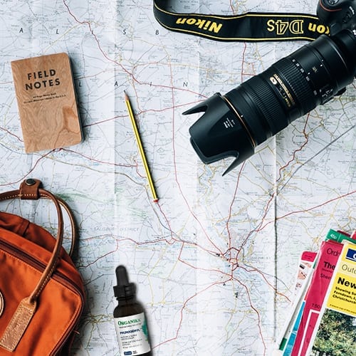 Pycnogenol is a Traveler’s Best Friend - Organika Health Products