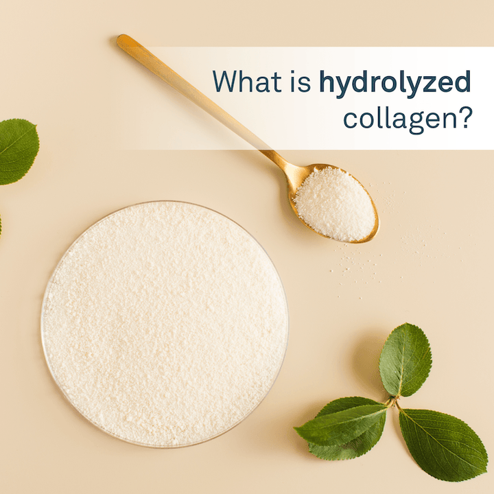 What is hydrolyzed collagen? - Organika Health Products