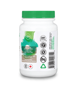 Lion's Mane Ultra Strength Organic Mushroom Extract - 120 Vcaps - Organika Health Products