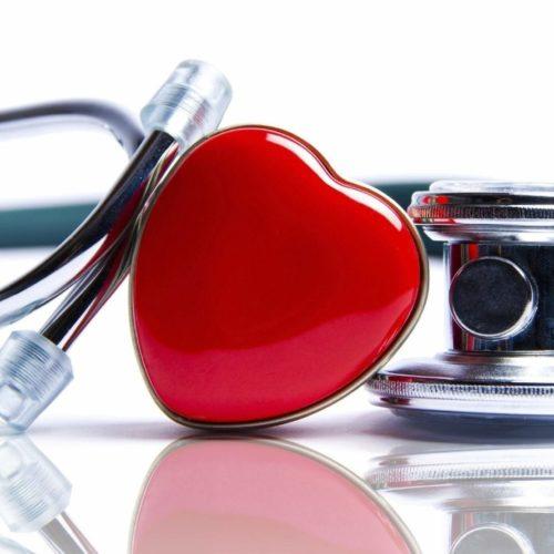 Cholesterol: The Good, the Bad, and the Healthy! - Organika Health Products