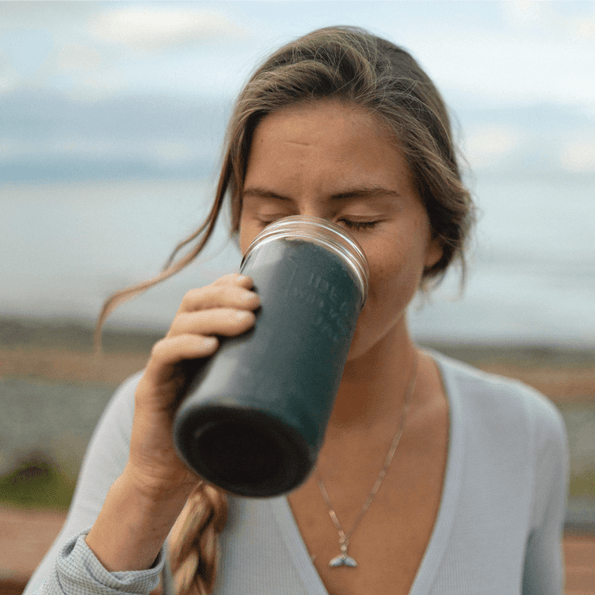 Spirulina Blueberry Smoothie Recipe - Organika Health Products