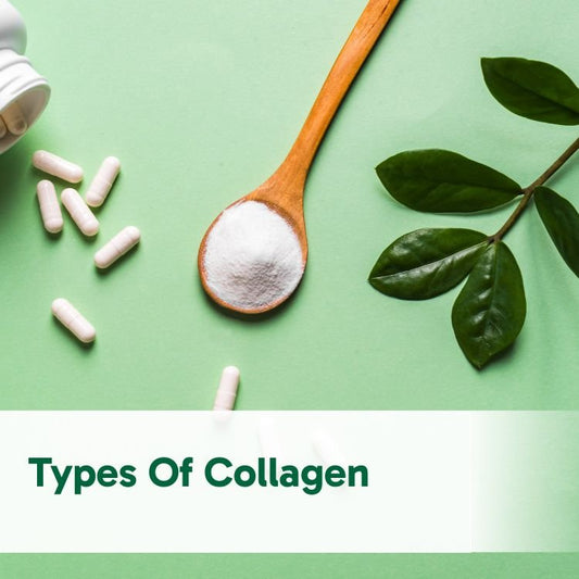 Types of Collagen: What’s the difference and which collagen do you need? - Organika Health Products