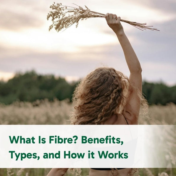 What Is Fibre? Benefits, Types, and How it Works - Organika Health Products