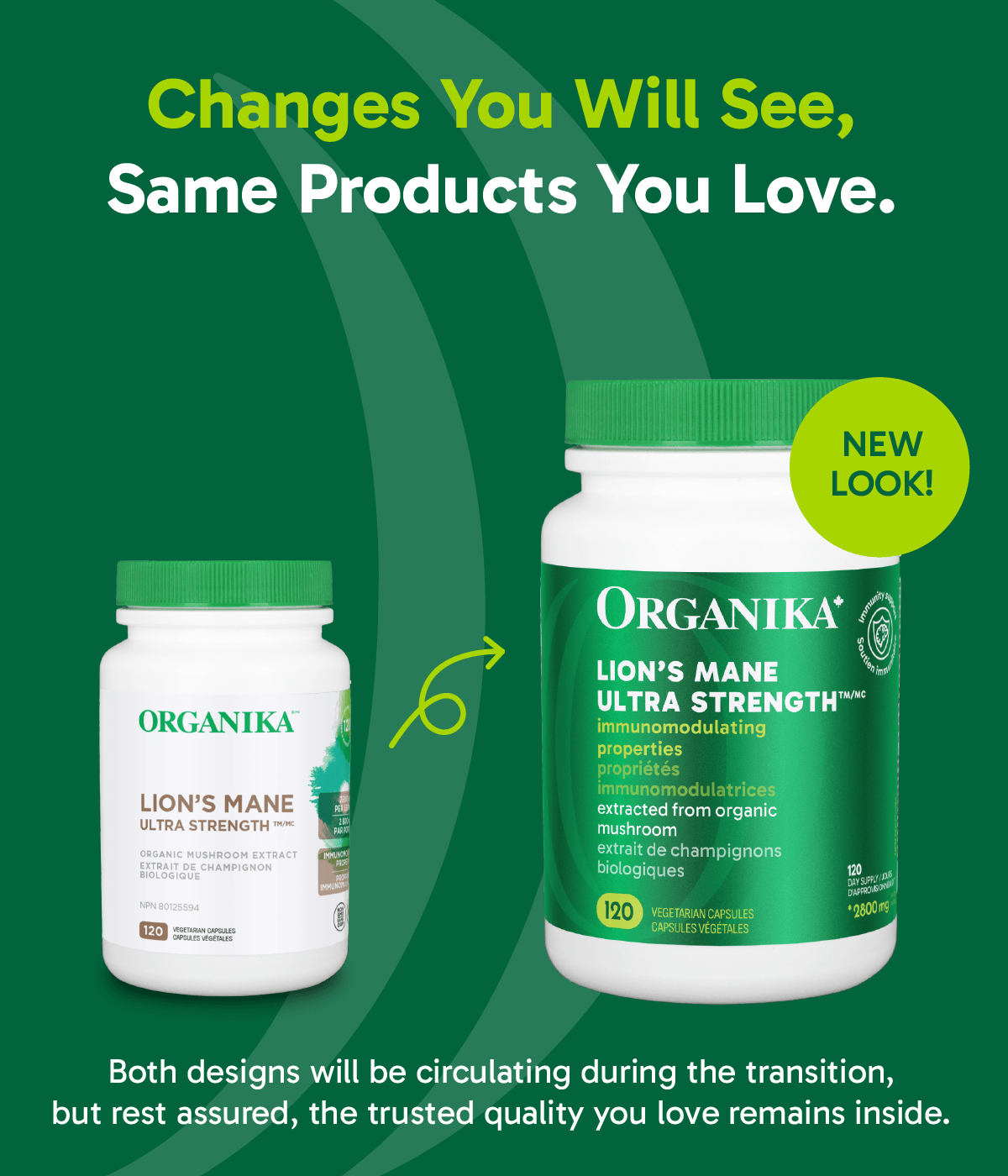 Lion's Mane Ultra Strength Organic Mushroom Extract - 120 Vcaps - Organika Health Products