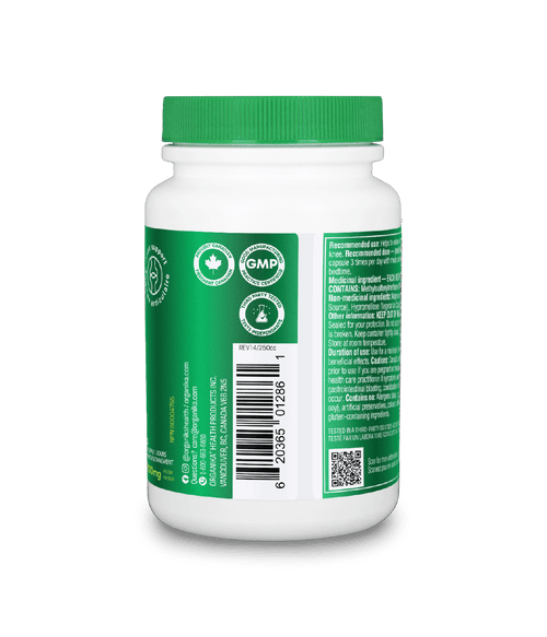 MSM (Methylsulfonylmethane) - 90 Vcaps - Organika Health Products