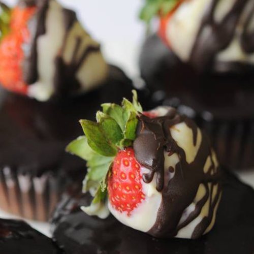 Dark Chocolate Breakfast Cupcakes - Organika Health Products