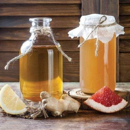 DIY Kombucha at Home! - Organika Health Products