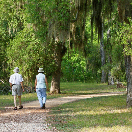 Goutrin: The Pain Free Solution For Joints - Organika Health Products