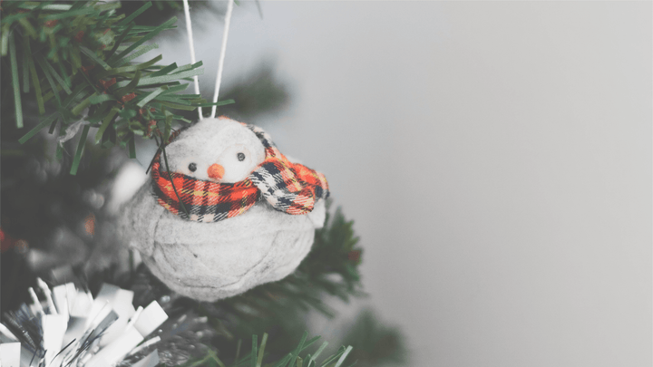 Healthy Holiday Tips: Balance During the Holiday Season - Organika Health Products