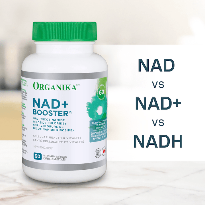 NAD vs. NAD+ vs. NADH... What’s the Difference? - Organika Health Products