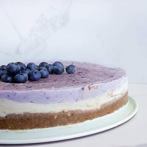 No-Bake Vegan Blueberry Cheesecake - Organika Health Products