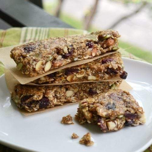 Orange Cranberry Collagen Protein Bars: The Perfect Healthy Camping Food - Organika Health Products