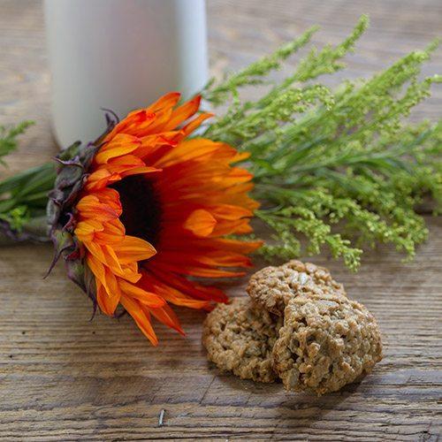 Sun Energy Cookies - Organika Health Products