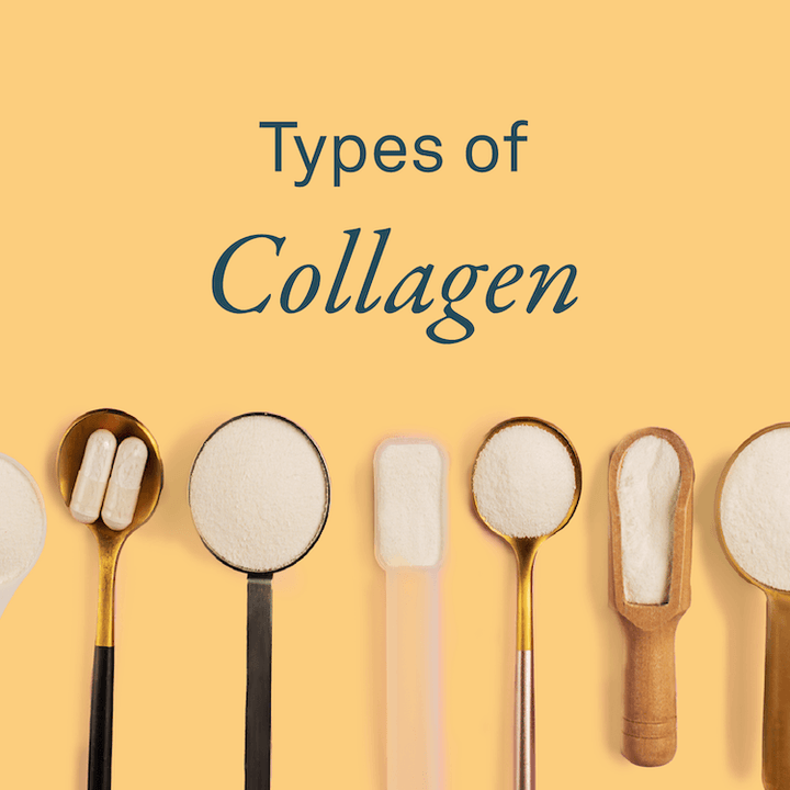 Types of Collagen: What’s the difference and which collagen do you need? - Organika Health Products