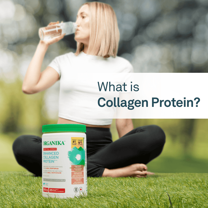 What is Collagen Protein? - Organika Health Products