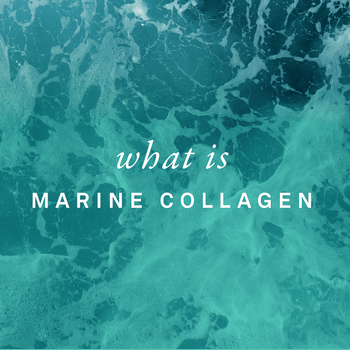 What is Marine Collagen? - Organika Health Products