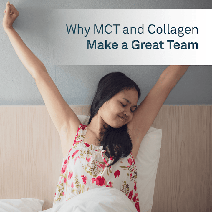 Why MCT and Collagen Make a Great Team - Organika Health Products