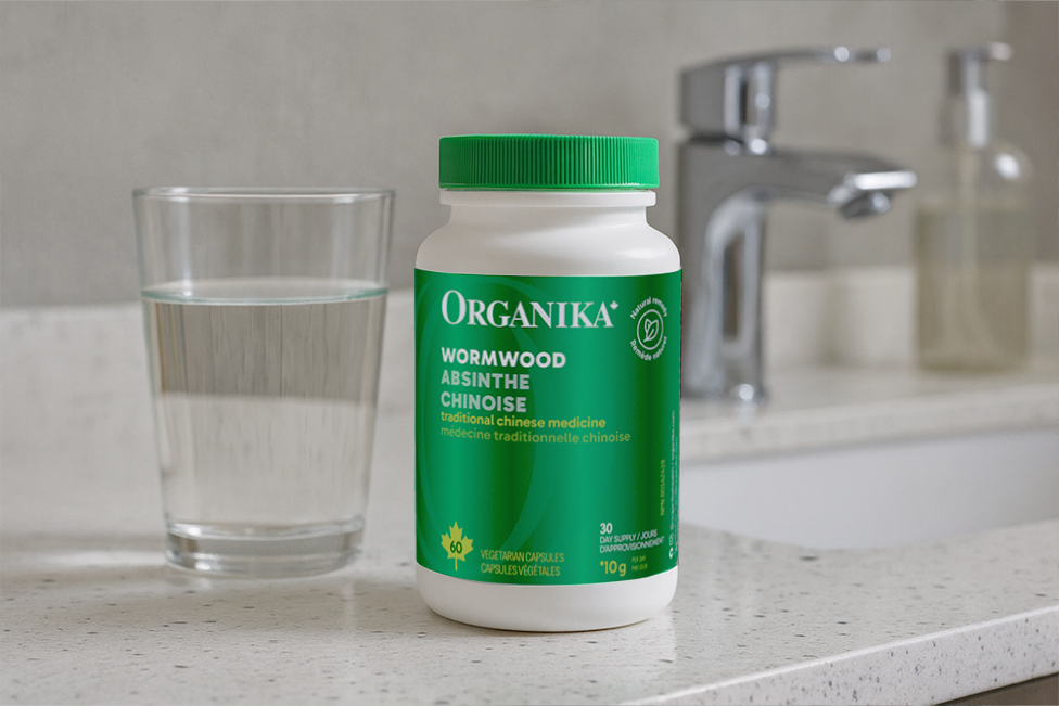 A Time-Honoured Herb for Gut Support & Digestive Balance