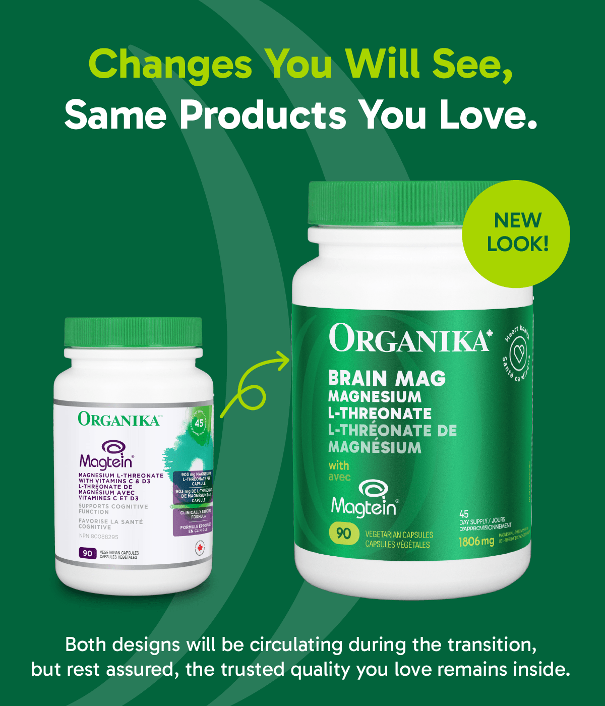 Brain Mag (Magnesium L - Threonate with Magtein) - 90 capsules - Organika Health Products