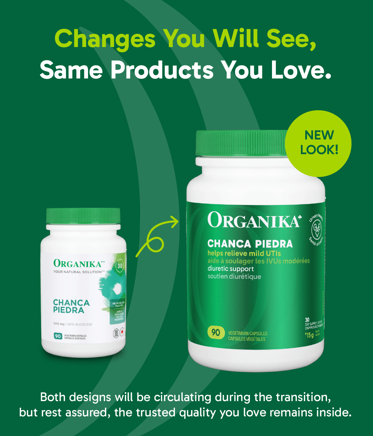 Chanca Piedra - 90 Vcaps - Organika Health Products