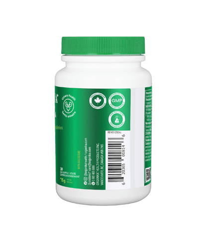 Chanca Piedra - 90 Vcaps - Organika Health Products
