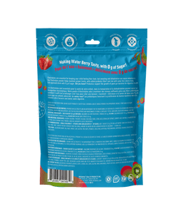 Kids Electrolyte - 20 Pack Pouch - Organika Health Products