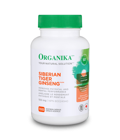 Ginseng du tigre de Sibérie