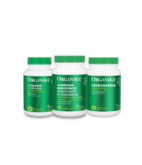 The Calm & Balance Bundle