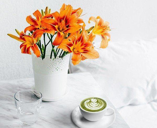 Chlorella Matcha Latte - Organika Health Products
