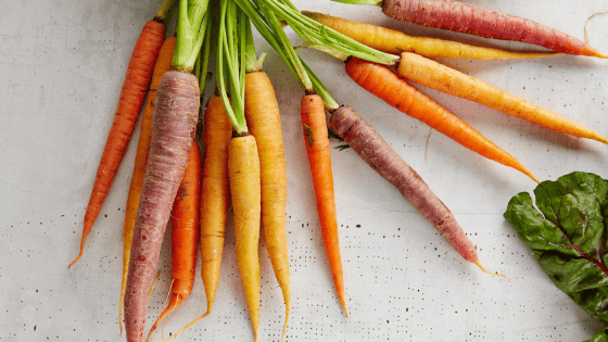 How ginseng and carrot peptides boost collagen production - Organika Health Products