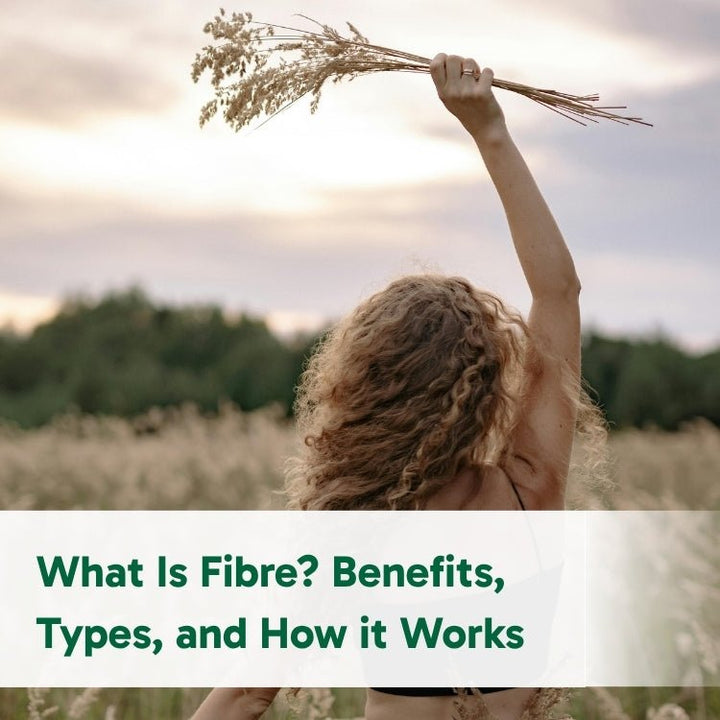 What Is Fibre? Benefits, Types, and How it Works - Organika Health Products