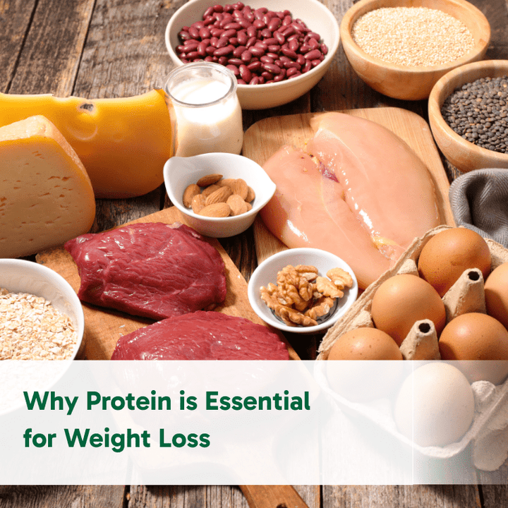 Why Protein is Essential for Weight Loss - Organika Health Products