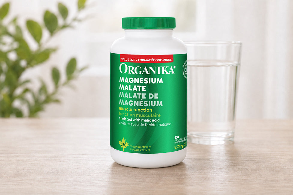 Supports The Energy System That Powers Muscles, Metabolism & Recovery