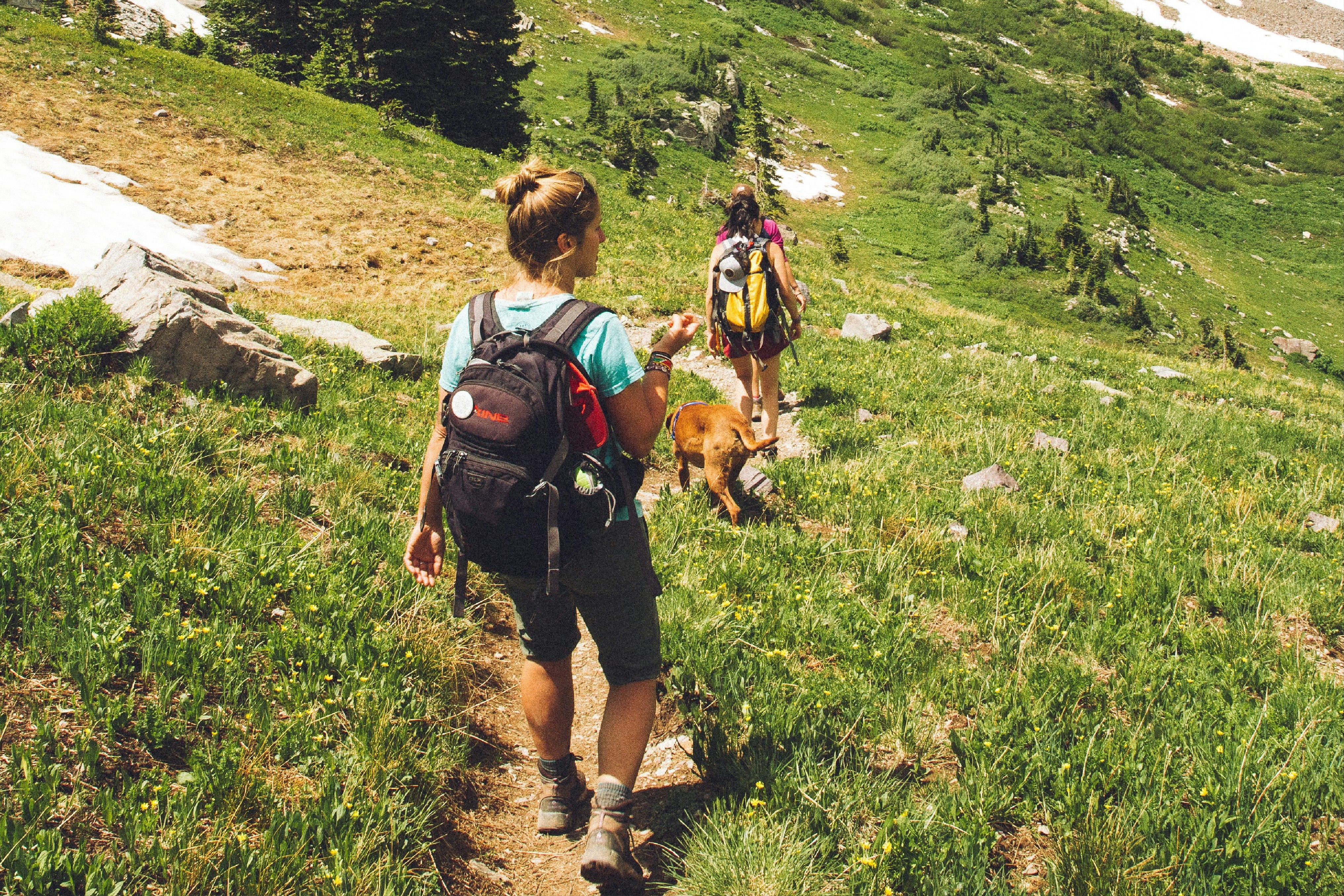 Keep Moving All Summer Long