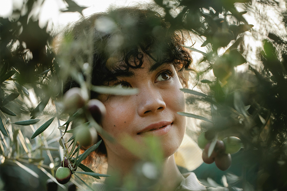 Your Daily Dose of Sunshine, No Matter the Season