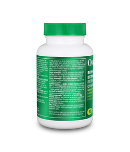 Reishi Mushroom Extract