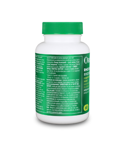 Rhodiola