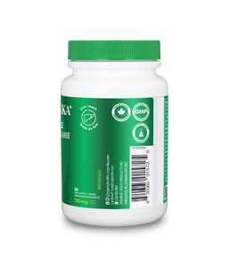 Milk Thistle