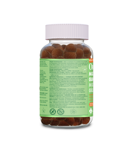 Kids Multi Gummies