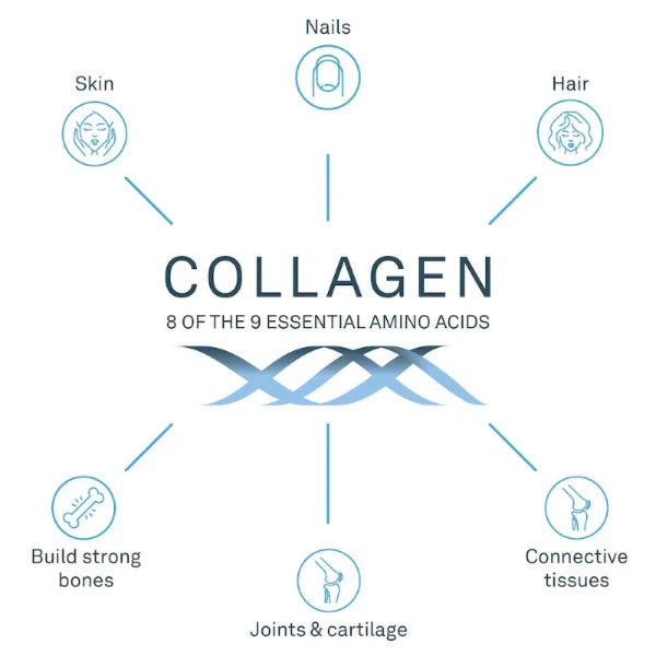 Collagen Image