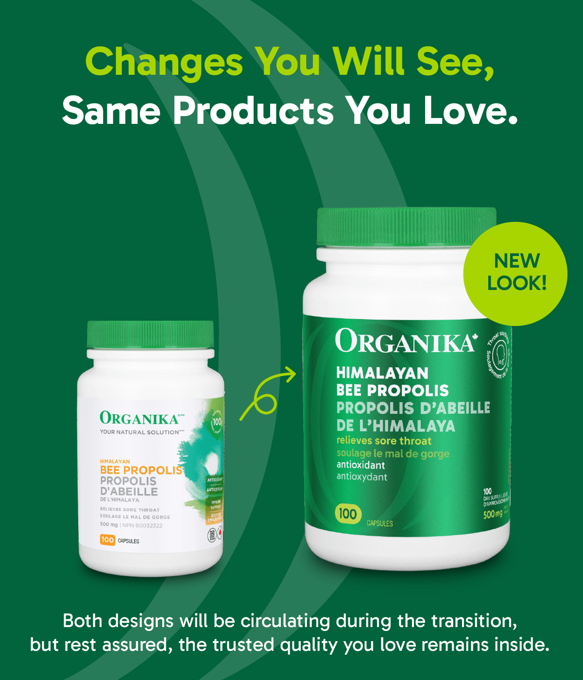 Bee Propolis Himalayan - 100 caps - Organika Health Products