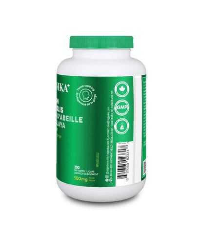 Bee Propolis Himalayan - 200 caps - Organika Health Products