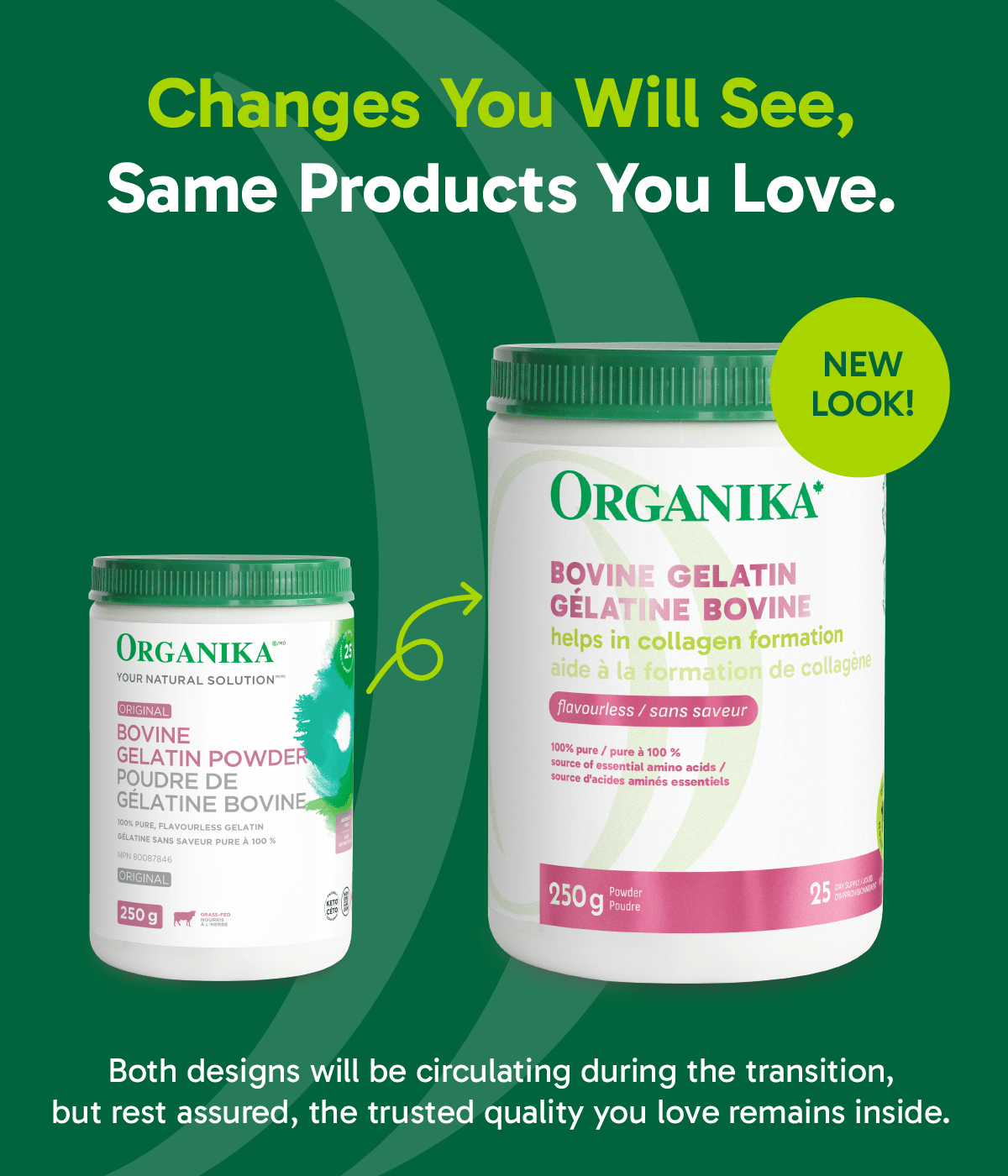 Bovine Gelatin - 250 g - Organika Health Products