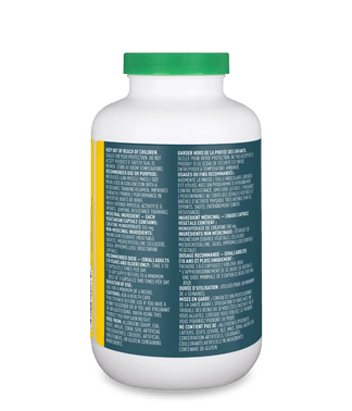 Creatine Capsules | 5,000mg Strength & Recovery – Organika Health Products