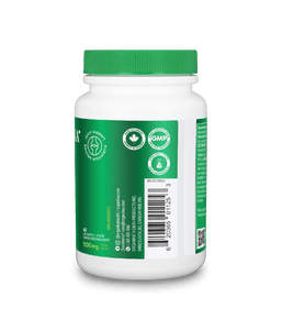 Curcumin - 60 Vcaps - Organika Health Products