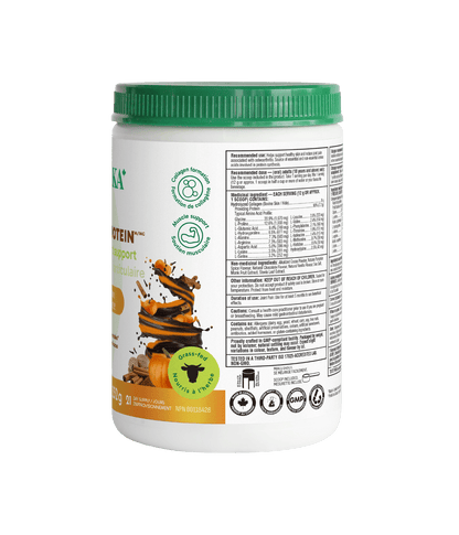 Dark Chocolate Pumpkin Spice Enhanced Collagen Protein - Dark Chocolate Pumpkin Spice - Organika Health Products