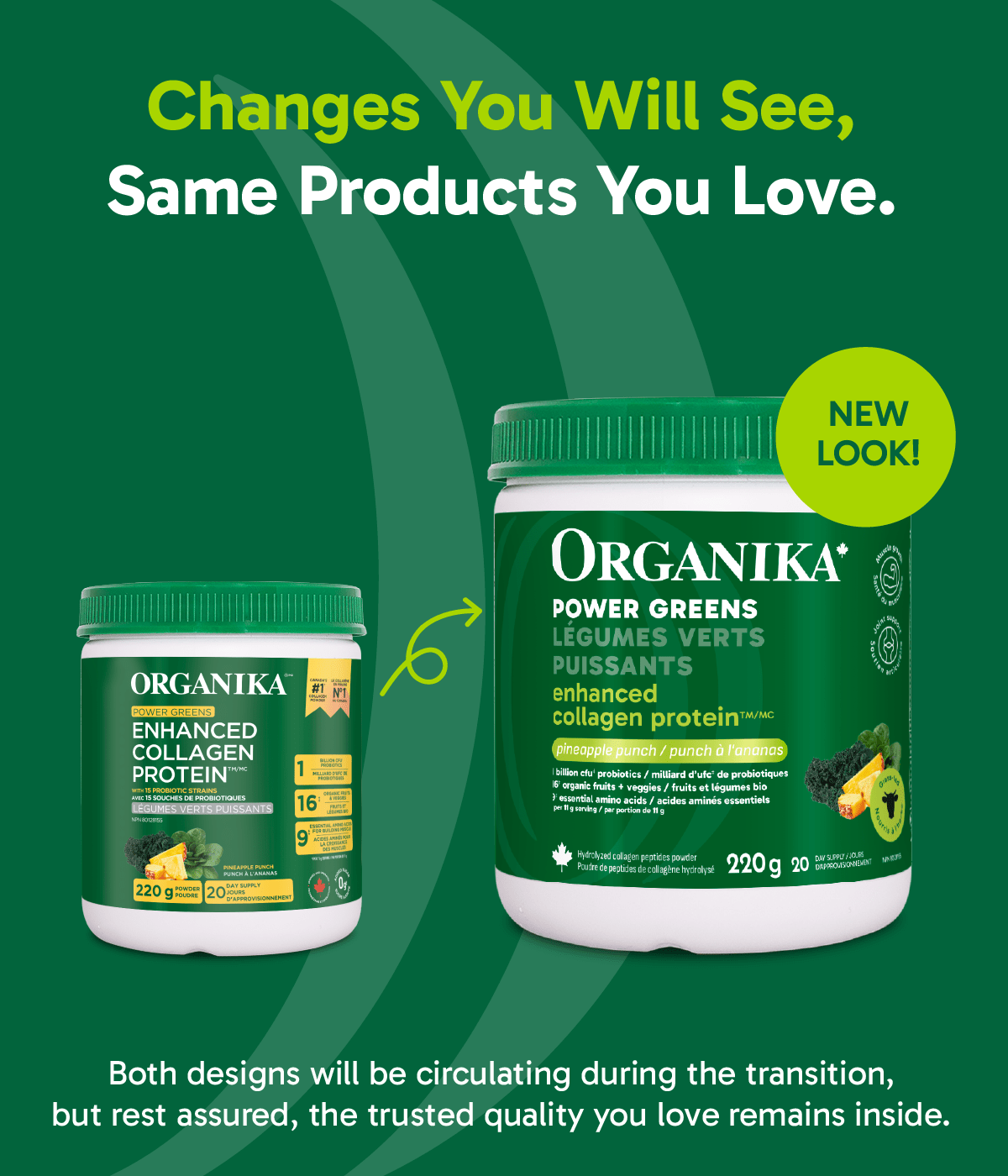 Enhanced Collagen Protein Power Greens with Probiotics - Pineapple Punch - Organika Health Products