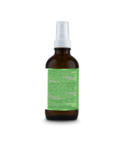 Kids Canadian Bee Propolis Spray with Elderberry - 30 ml - Organika Health Products