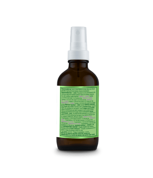 Kids Canadian Bee Propolis Spray with Elderberry - 30 ml - Organika Health Products