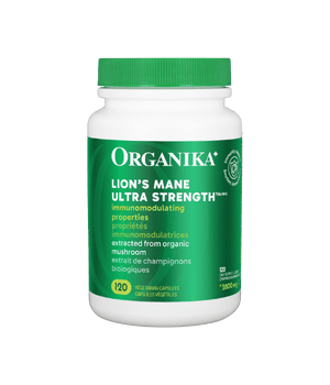 Extrait de champignon biologique ultra-fort Lion's Mane